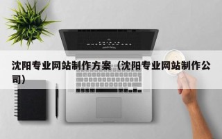 岳阳沈阳专业网站制作方案（沈阳专业网站制作公司）